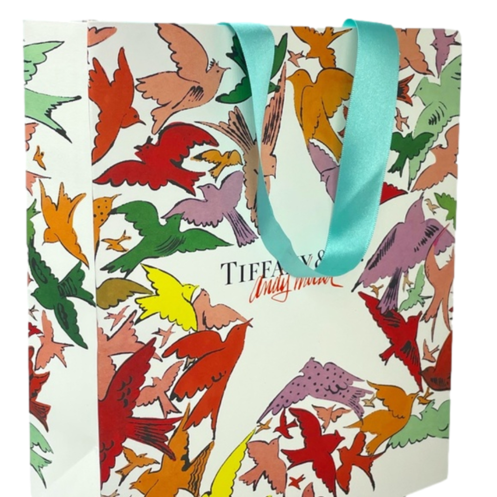TIFFANY & CO/ANDY WALHOL Limited Edition Gift bag + extra iconic Robin's Egg bag - Picture 1 of 10